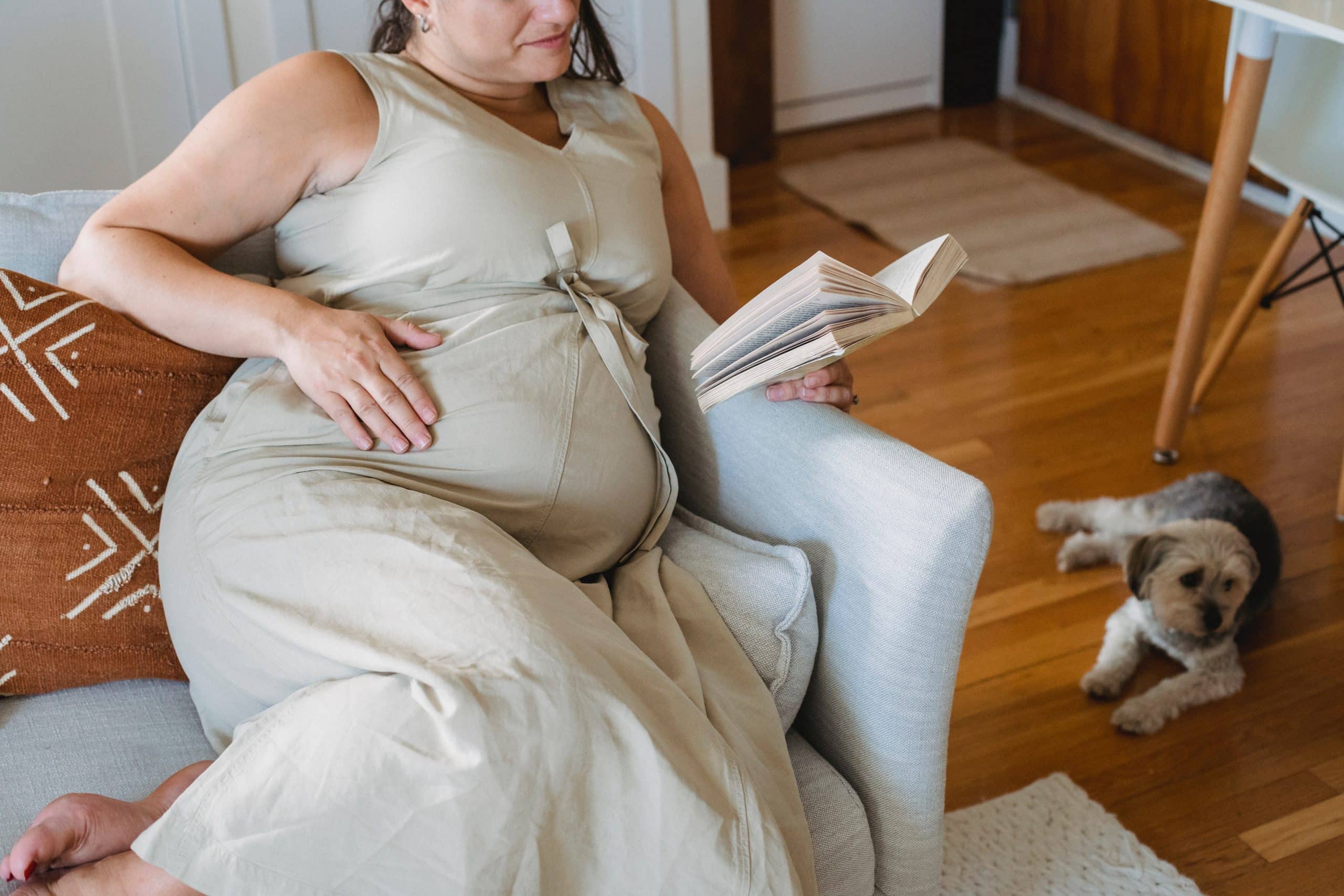 Comfort Measures in Pregnancy Booklet